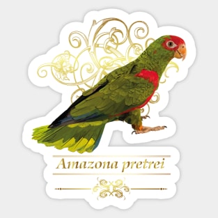 red headed amazon Sticker